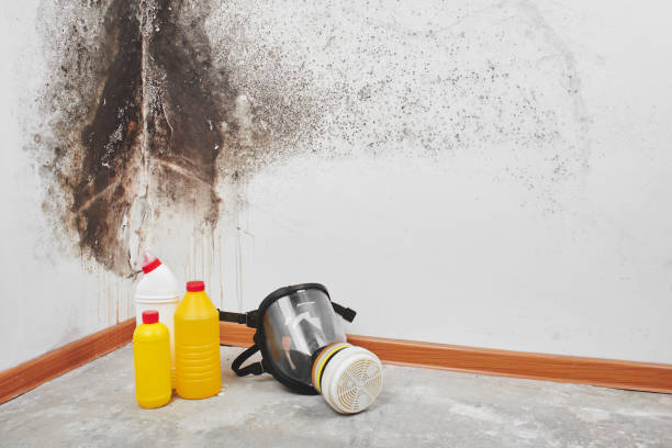Best Mold Removal Process  in Tuolumne City, CA