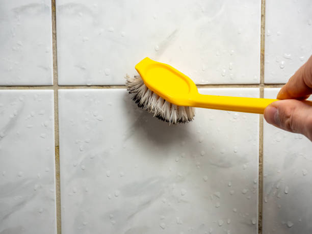 Best Toxic Mold Removal  in Tuolumne City, CA