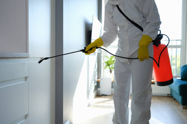 Best Certified Mold Removal  in Tuolumne City, CA