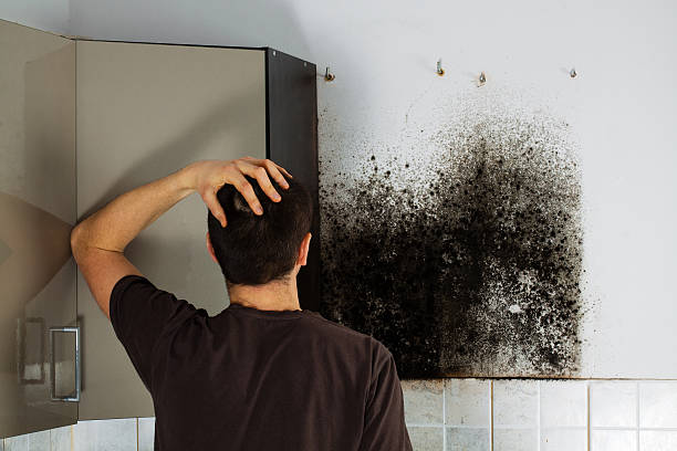 Best Residential Mold Removal  in Tuolumne City, CA
