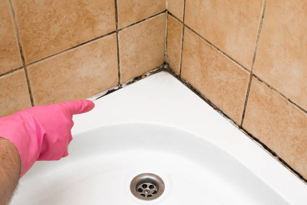 Best Attic Mold Removal  in Tuolumne City, CA